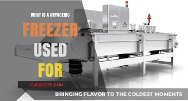 Cryogenic Freezers: Essential Applications in Science, Medicine, and Industry