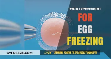 Safeguarding Your Future: The Role of Cryoprotectants in Egg Freezing