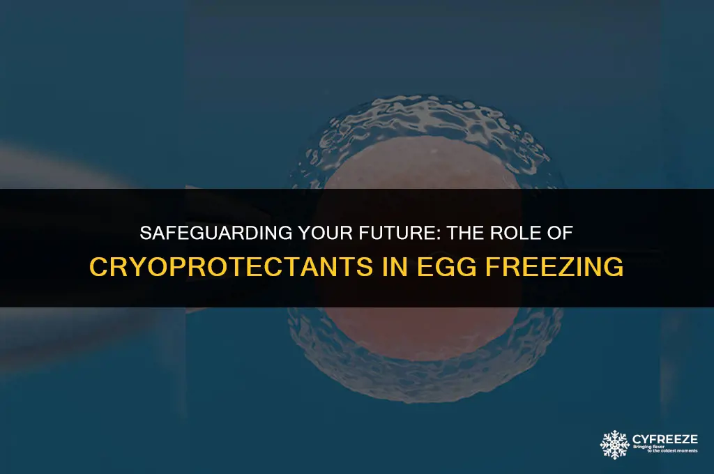 what is a cyproprotectant for egg freezing