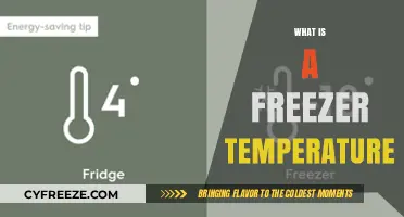 Understanding the Ideal Freezer Temperature for Food Safety and Preservation