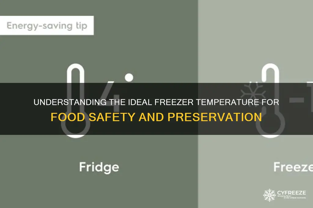 what is a freezer temperature