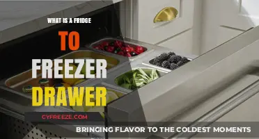 Exploring the Convenience of Fridge-to-Freezer Drawers: A Complete Guide