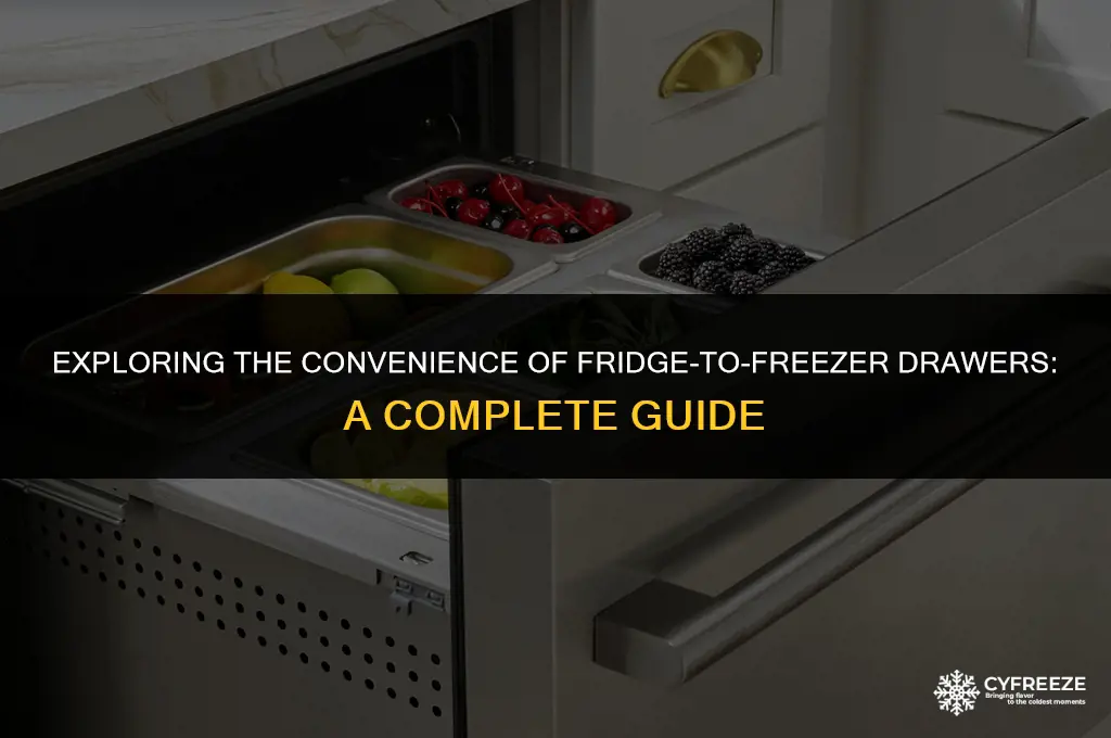 what is a fridge to freezer drawer