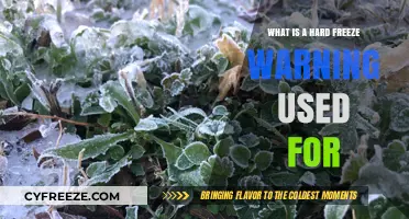 Understanding Hard Freeze Warnings: Purpose and Protection for Your Plants
