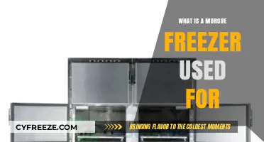 Morgue Freezers: Essential Tools for Preserving Human Remains Safely