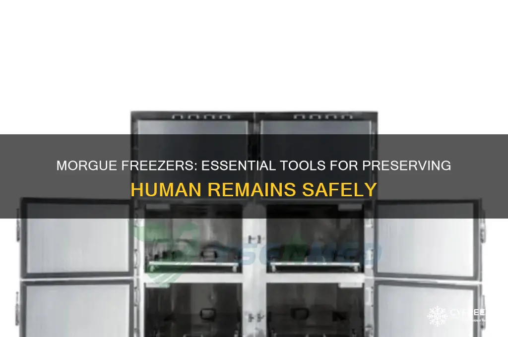 what is a morgue freezer used for