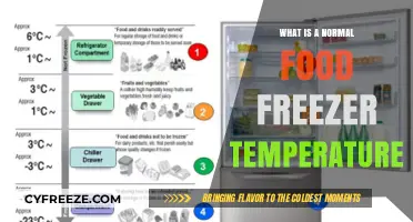 Optimal Food Freezer Temperature: What's Normal for Safe Storage?