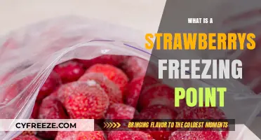 Understanding the Freezing Point of Strawberries: A Comprehensive Guide
