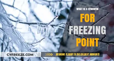 Understanding the Synonym for Freezing Point: A Comprehensive Guide