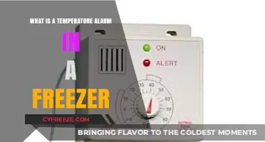 Understanding Temperature Alarms: Essential Freezer Monitoring for Food Safety