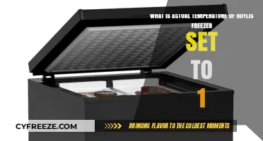 Understanding the Actual Temperature of Your Iidylis Freezer Set to 1