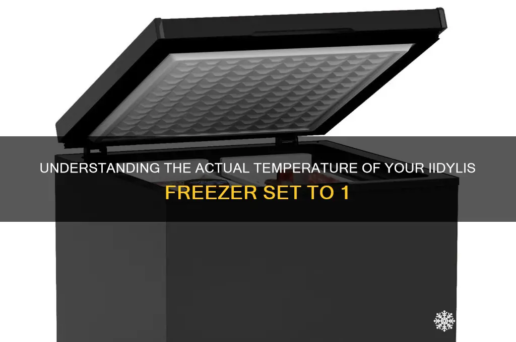 what is actual temperature of iidylis freezer set to 1