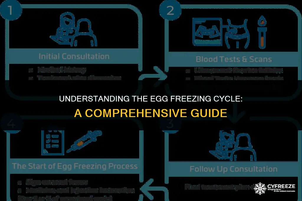 what is an egg freezing cycle
