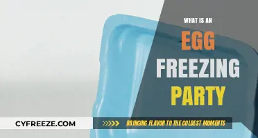 Exploring the Concept of Egg Freezing Parties: A Modern Fertility Trend