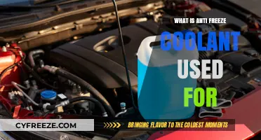 Understanding Anti-Freeze Coolant: Essential Uses for Your Vehicle's Engine