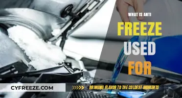 Understanding Anti-Freeze: Essential Uses and Benefits for Your Vehicle
