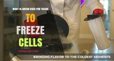 Argon's Role in Cryopreservation: Freezing Cells for Preservation and Research