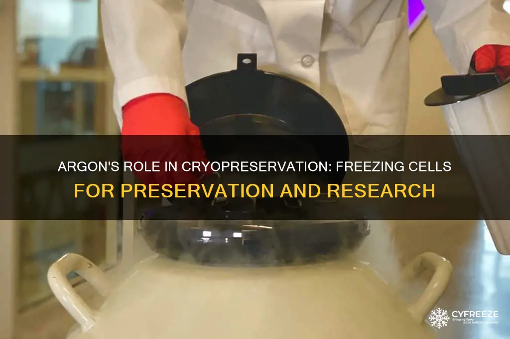what is argon used for tissue to freeze cells