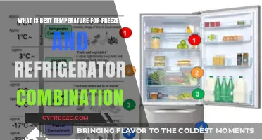 Optimal Freezer and Fridge Temperatures for Freshness and Food Safety