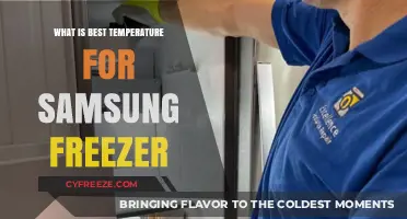 Optimal Samsung Freezer Temperature: Best Practices for Food Preservation