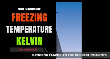 Understanding Boiling and Freezing Temperatures in Kelvin Scale