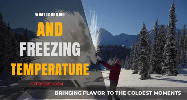 Understanding Boiling and Freezing Temperatures: Key Concepts Explained