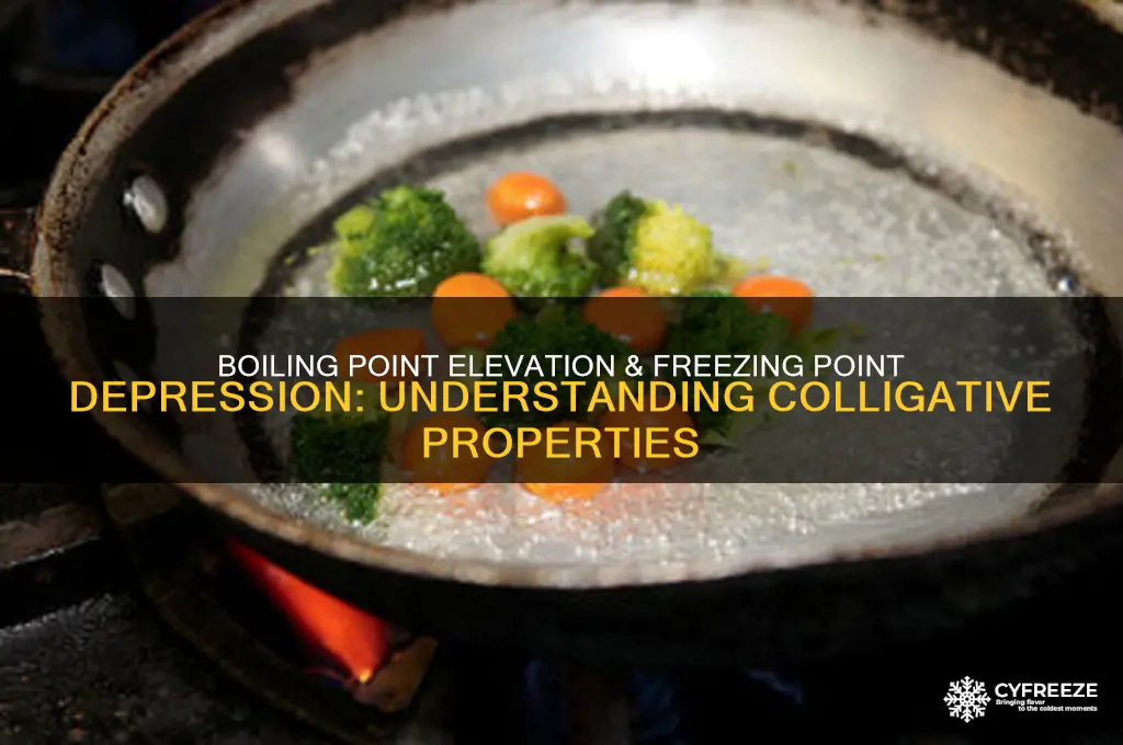 what is boiling point elevation and freezing point depression