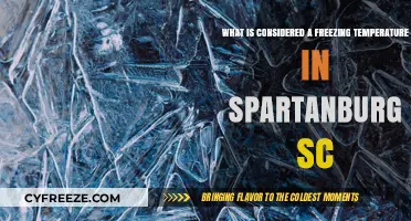 Spartanburg SC Freezing Temps: What's Considered Cold in the Upstate?
