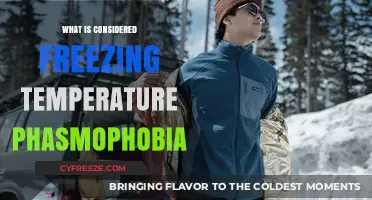 Phasmophobia Freezing Temperatures: Understanding the Chilling Threshold for Ghost Activity