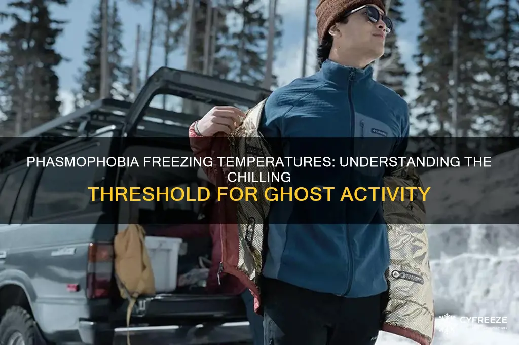 what is considered freezing temperature phasmophobia