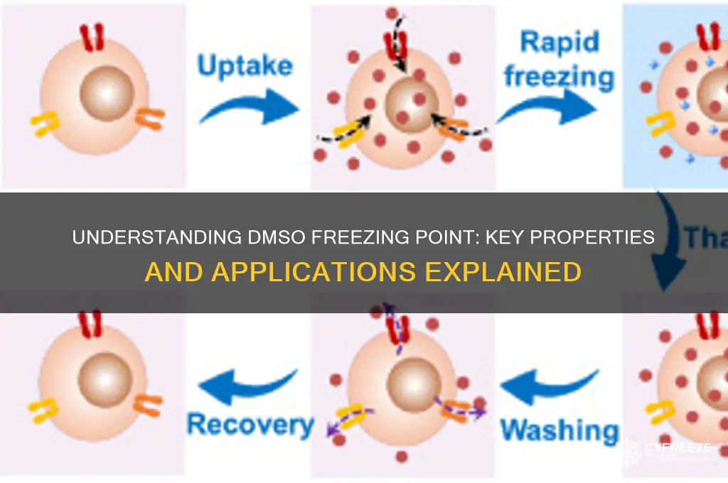 what is dmso freezing point
