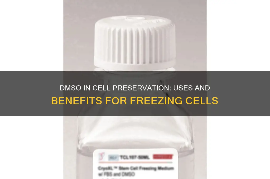what is dmso used for freezing cells