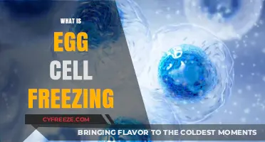 Preserving Fertility: A Guide to Egg Cell Freezing