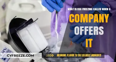Corporate Egg Freezing: A Modern Perk or Ethical Dilemma?