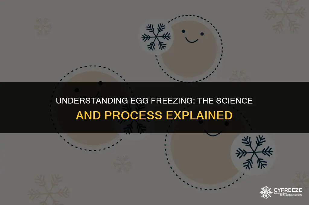 what is egg freezing called
