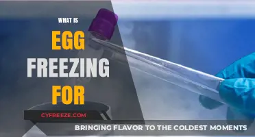 Understanding Egg Freezing: A Guide to Family Planning Options