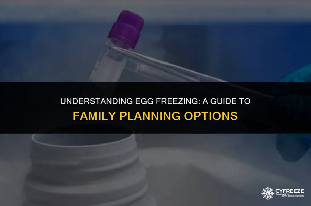 what is egg freezing for