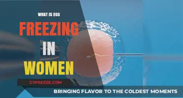 Understanding Egg Freezing: A Guide for Women Considering This Option