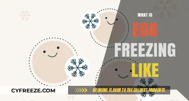 Exploring the Egg Freezing Journey: A Personal Guide