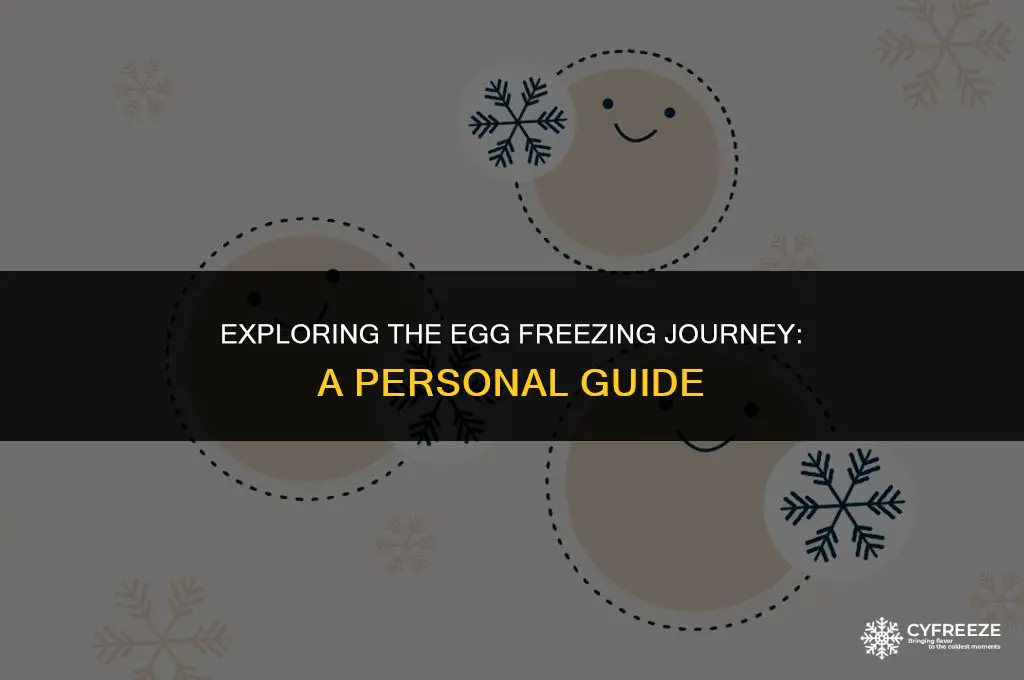 what is egg freezing like