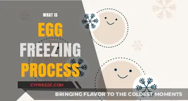 Preserving Fertility: A Comprehensive Guide to the Egg Freezing Process