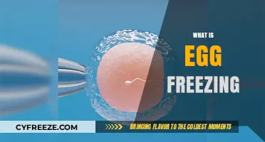 Understanding Egg Freezing: A Guide to Preserving Fertility Options