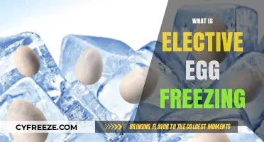 Exploring Elective Egg Freezing: A Guide to Reproductive Options