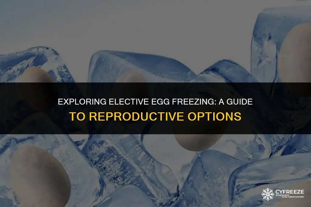 what is elective egg freezing