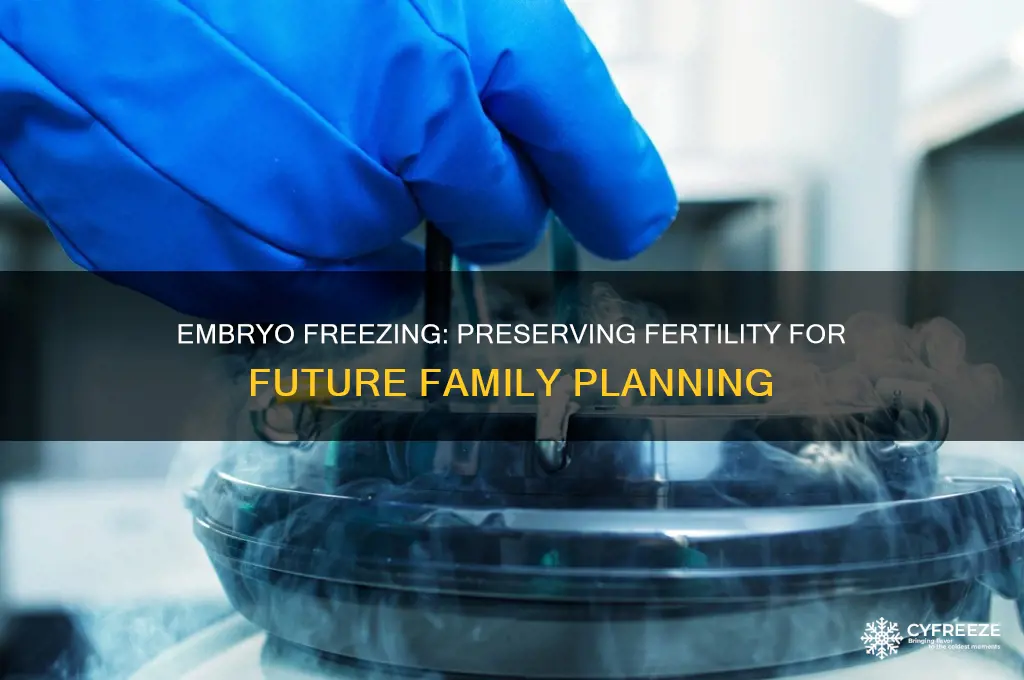 what is embryo freezing used for