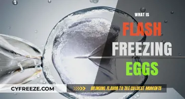 The Ultimate Guide to Flash Freezing Eggs for Future Use