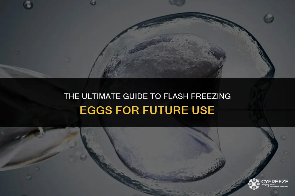 what is flash freezing eggs