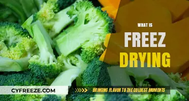 Exploring the Art and Science of Freeze Drying: A Comprehensive Guide