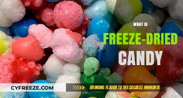 Exploring the World of Freeze-Dried Candy: A Sweet Revolution