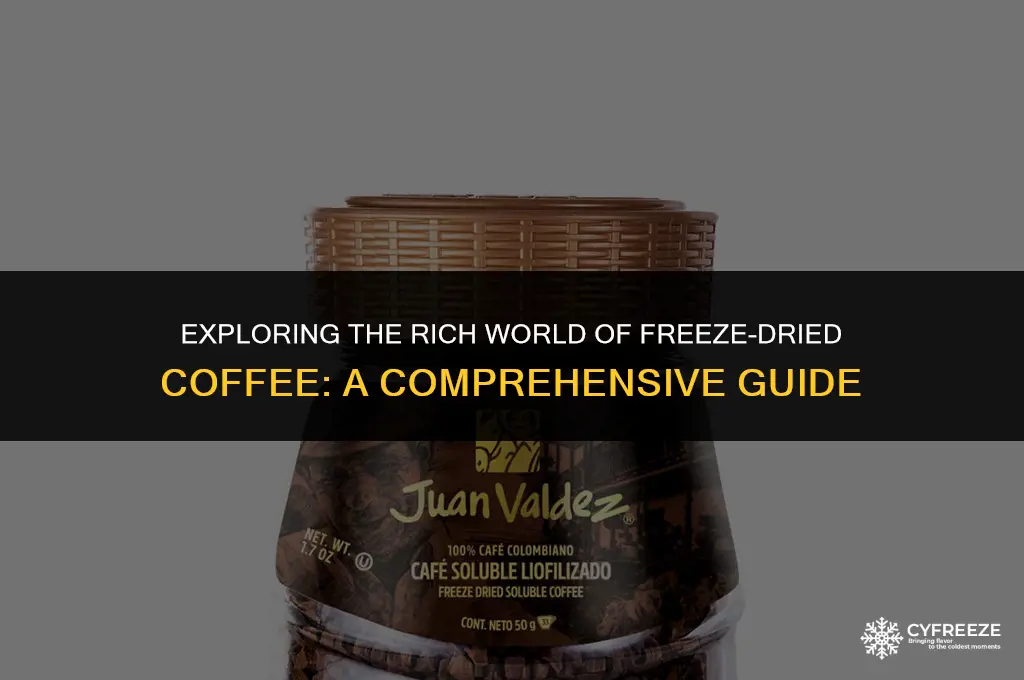 what is freeze dried coffee
